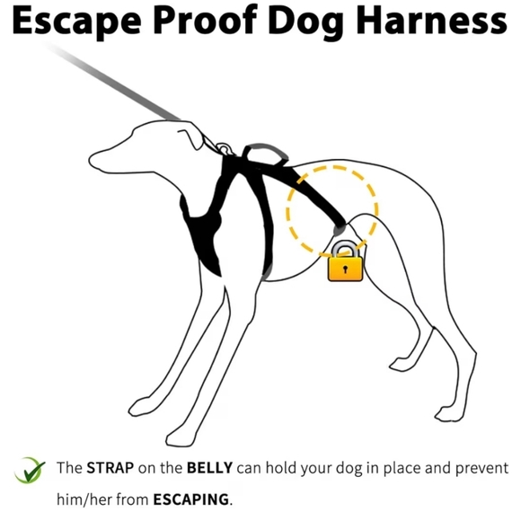 Escape Proof Reflective Dog Harness Size Small - Picture 6 of 11